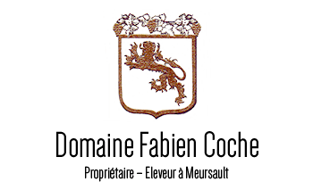 Domaine Fabien Coche logo