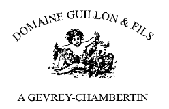 Jean Michel Guillon logo