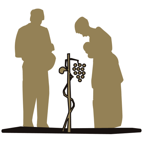 Santini logo