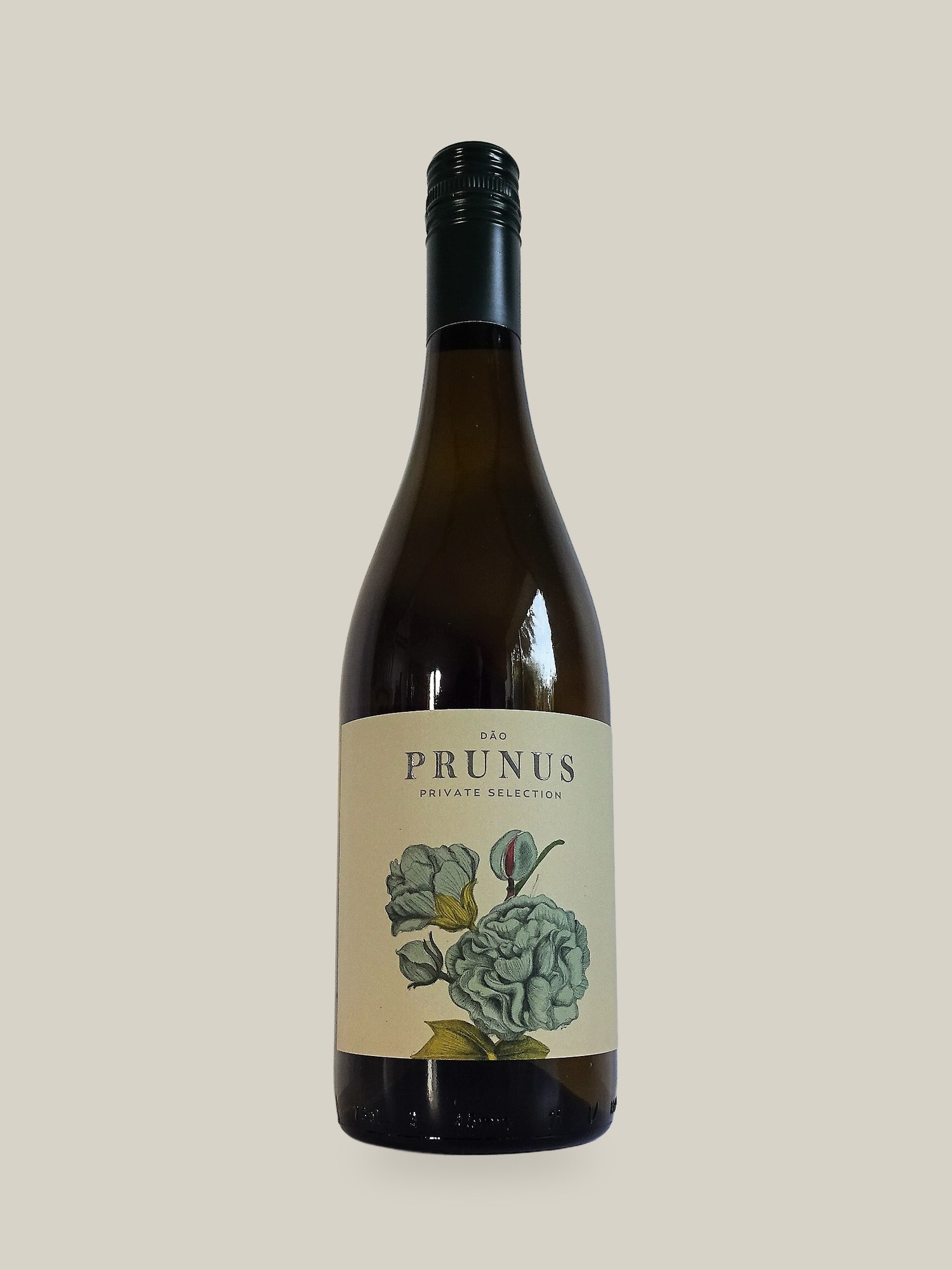 Prunus White DAO 2023