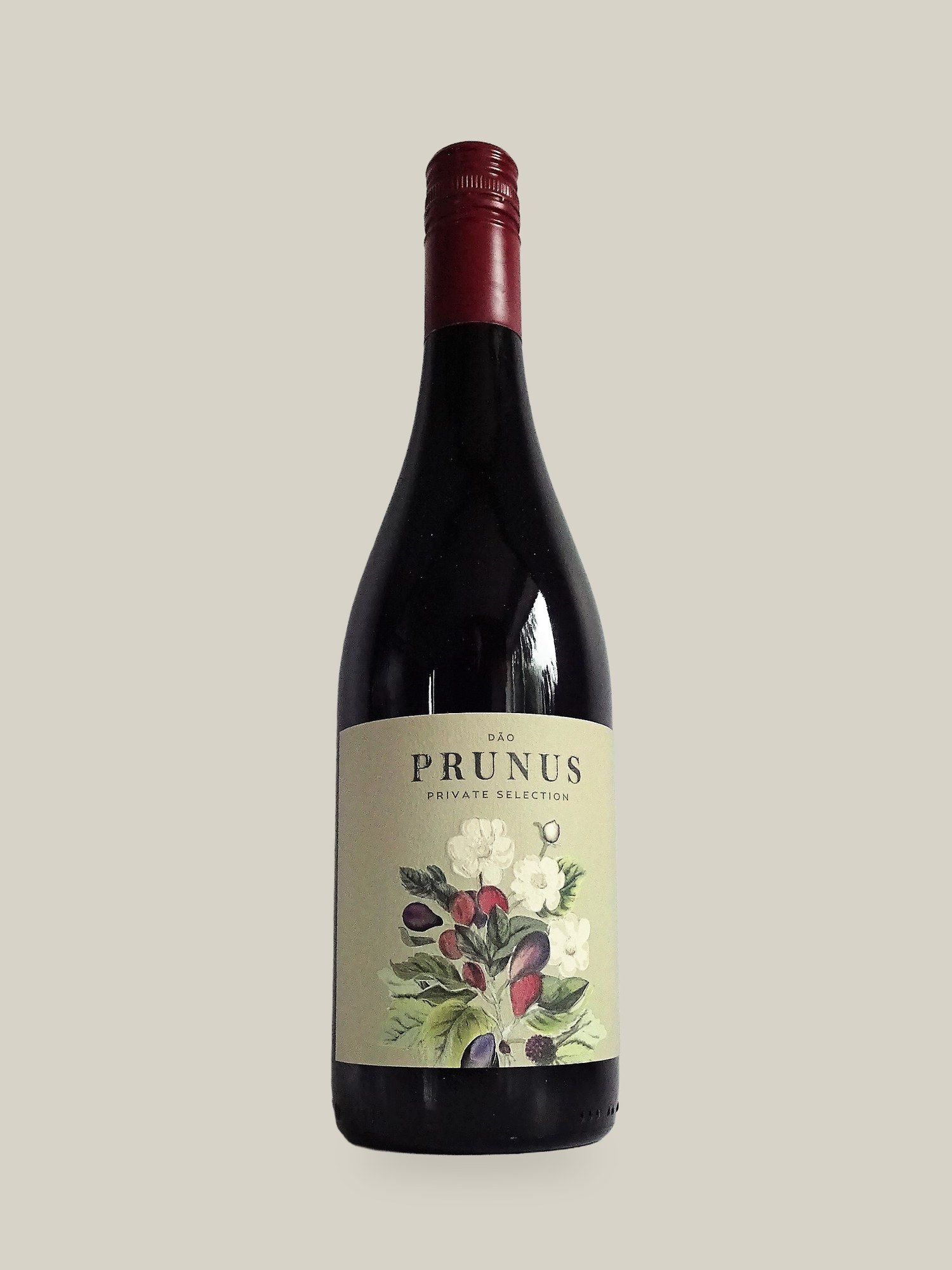 Prunus Red Dao 2022
