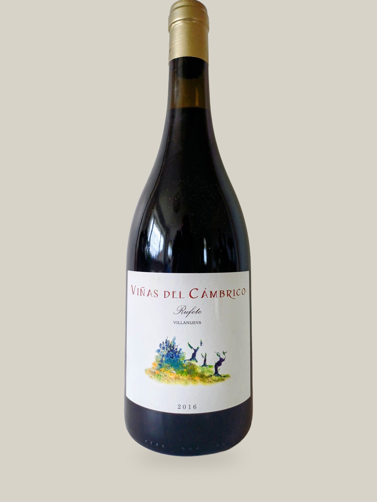 Venas del Cambrico Rufete Villanueve 2016