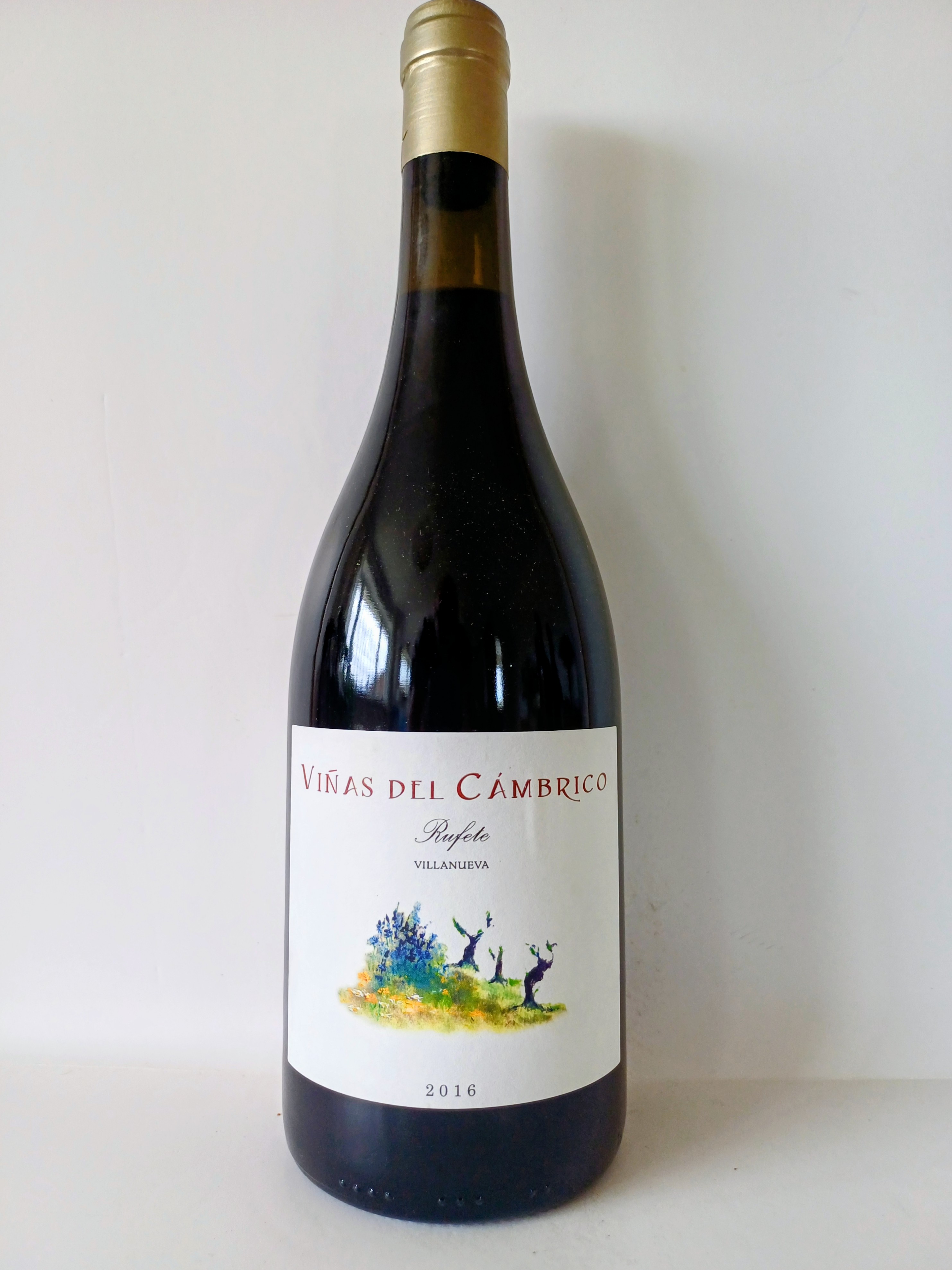 Venus Del Cambrica Rufete Villanueve 2016